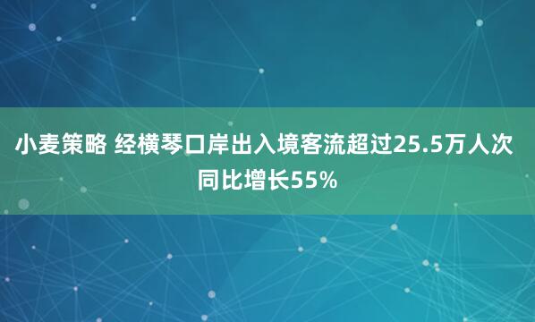 小麦策略 经横琴口岸出入境客流超过25.5万人次 同比增长55%
