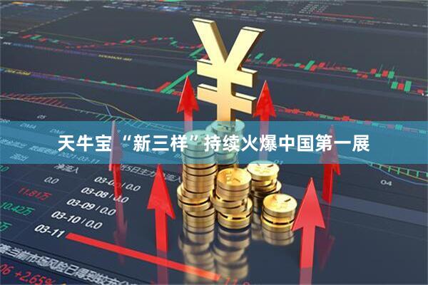 天牛宝 “新三样”持续火爆中国第一展
