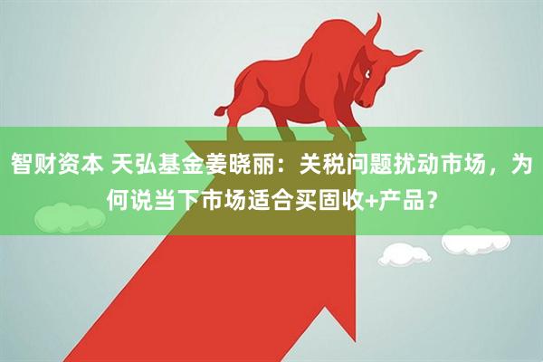 智财资本 天弘基金姜晓丽：关税问题扰动市场，为何说当下市场适合买固收+产品？