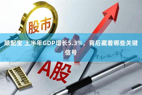 顺配宝 上半年GDP增长5.3%，背后藏着哪些关键信号